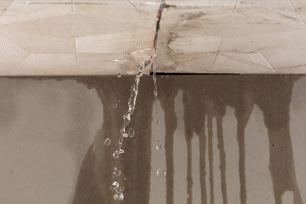 Professional Flood Damage Cleanup technician working in Star Prairie, WI